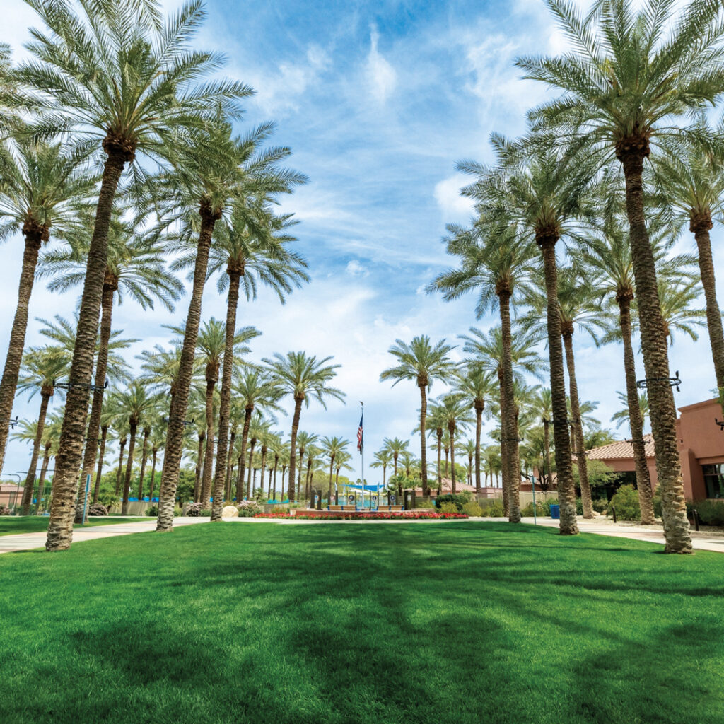 The Grand is home to four golf courses, and DePasquale says crews maintain the decomposed granite desert landscapes surrounding the courses. (Photo: Gothic Landscape)