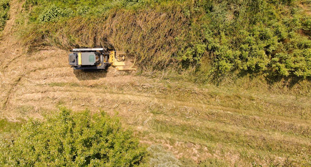 Photo: Diamond Mowers