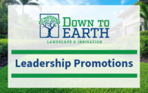 Graphic: Down to Earth