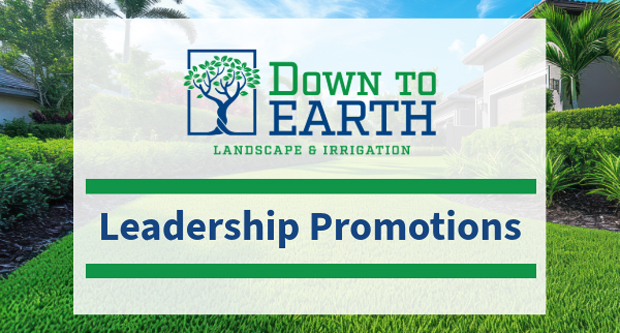 Graphic: Down to Earth