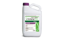 Photo: Syngenta