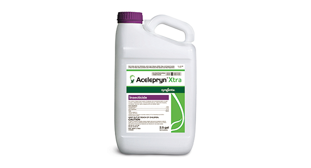 Photo: Syngenta