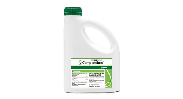 Photo: Syngenta