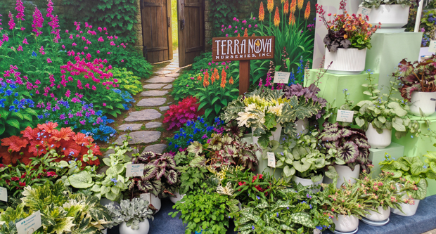 Photo: Terra Nova Nurseries